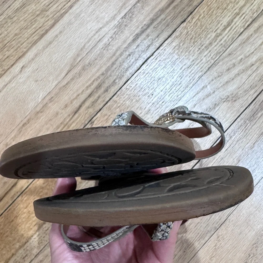COACH Snake Print Sandals in size 7.5